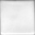 Coyote – Cone 5/6 - 182 - Satin White Liner