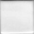 Coyote – Cone 5/6 - 186 - Gloss White Liner