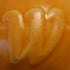 Western – Cone 5/6 – 4544 – Pumpkin Matt