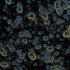 Mayco – Cone 06 - CG-786 Obsidian