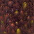 Mayco – Cone 06 - CG969 Floral Fantasy