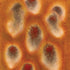 Mayco – Cone 06 - CG972 Dragon's Breath