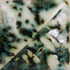 Mayco - Cone 5/6 - SW-222 Green Jasper