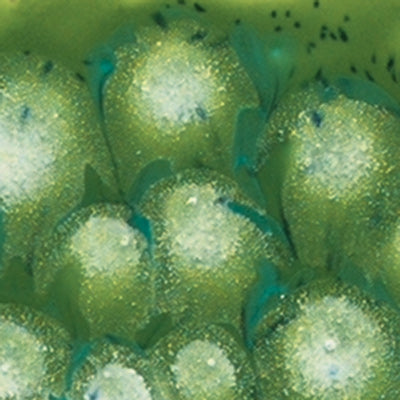 Mayco – Cone 06 - S-2715 Spotted Kiwi