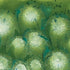 Mayco – Cone 06 - S-2715 Spotted Kiwi