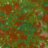 Mayco – Cone 06 – CG987 Tree Frog