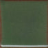 Coyote – Cone 5/6 - 044 - Green Shino