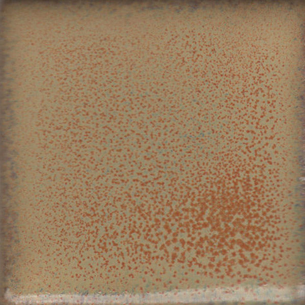 Coyote – Cone 5/6 - 173 - Summer Spice