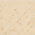 Mayco – Cone 06 - FN-239 Spiced Cream