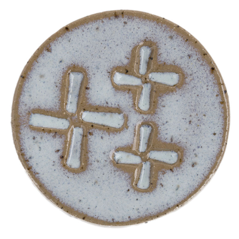 Glaze Shown on KyMudworks Speckled Turtle