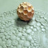 Clay Planet Texture Sphere – Bubbles