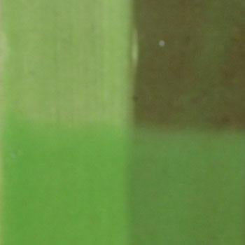 KPS - Cone 6 - M232 Lime Green